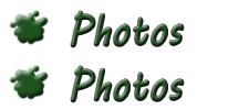 Laurelton Art Society Photos Page